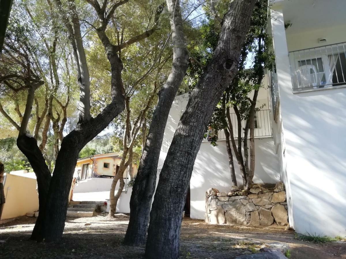 מלון אולביה In Campagna Da Nino מראה חיצוני תמונה