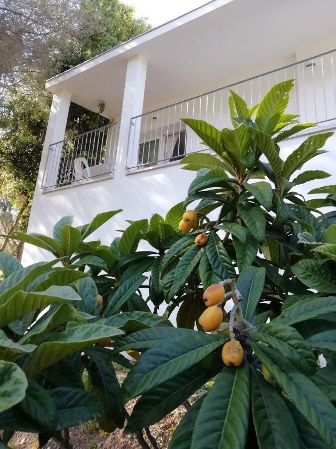 מלון אולביה In Campagna Da Nino מראה חיצוני תמונה