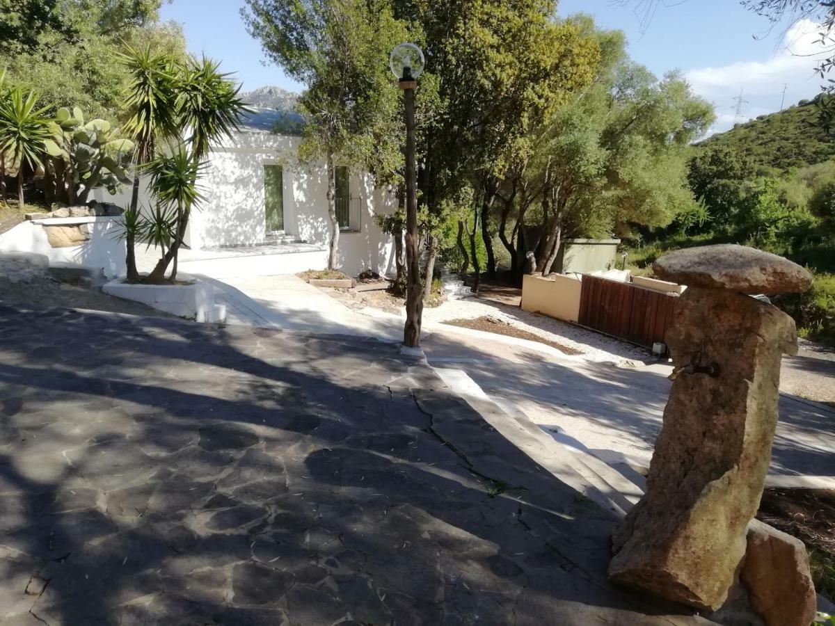 מלון אולביה In Campagna Da Nino מראה חיצוני תמונה