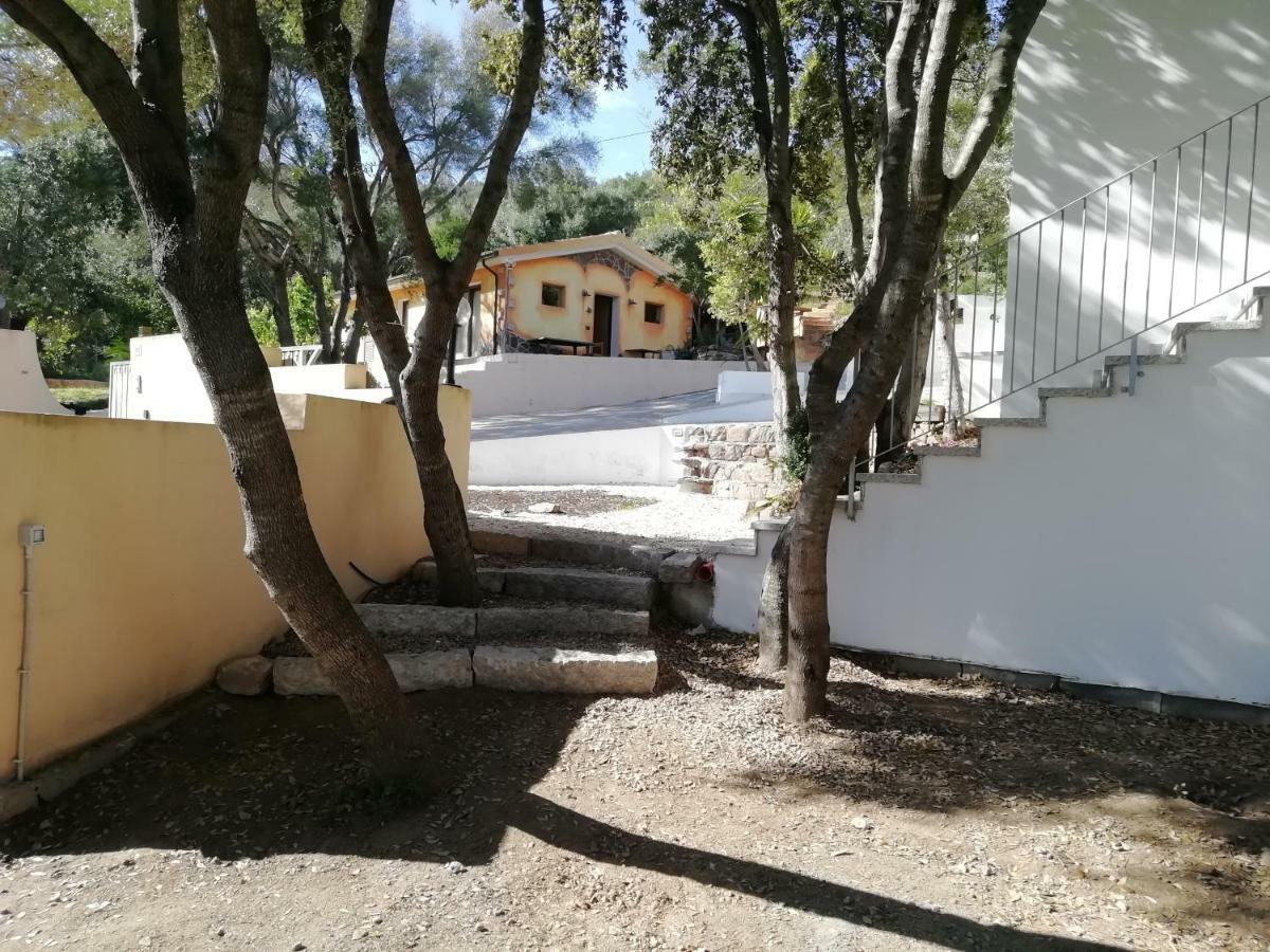 מלון אולביה In Campagna Da Nino מראה חיצוני תמונה