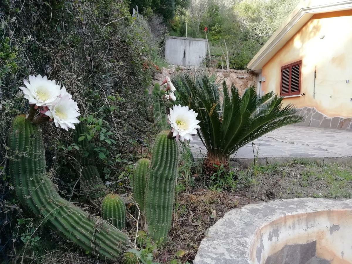 מלון אולביה In Campagna Da Nino מראה חיצוני תמונה